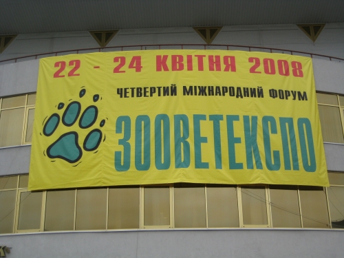 ??????????? 2008
